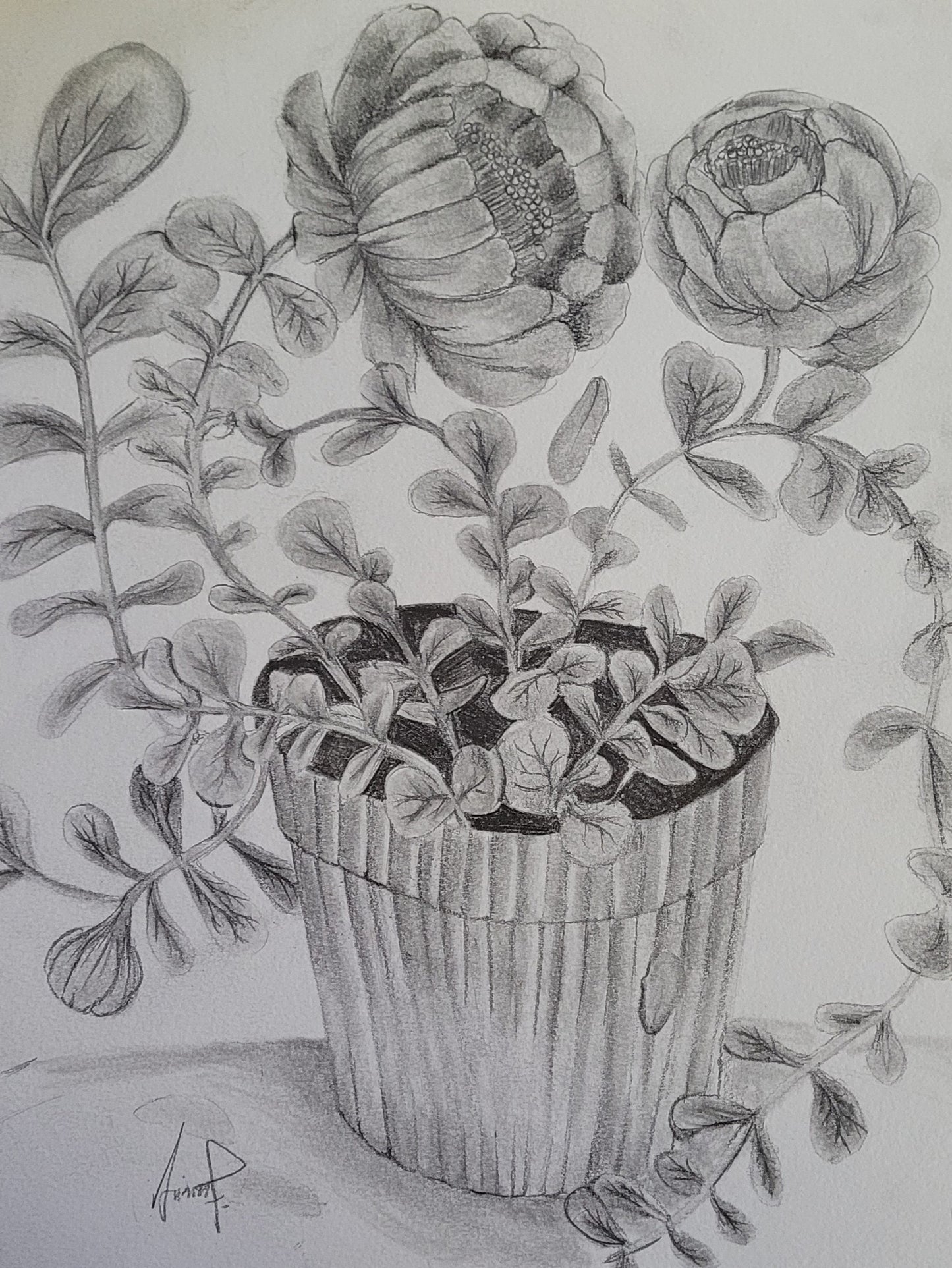 "Peony Still Life"