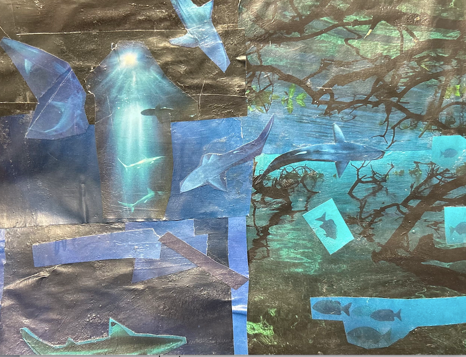Fish in the Ocean